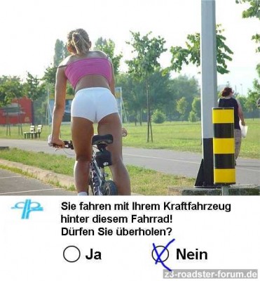 FhrerscheinfrageanMänner.jpg