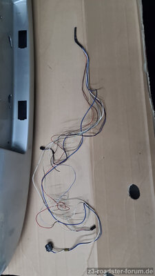 IMG-20240117-WA0003.jpeg