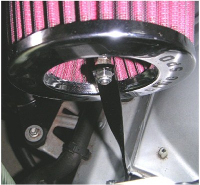 Lufi Halter.jpg