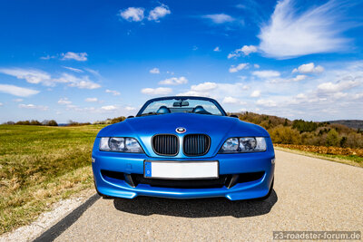 IMG_0835remS.jpg