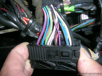 DSCN1533.JPG