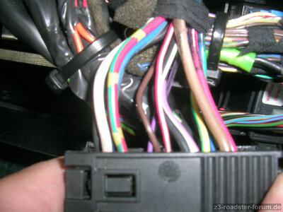 DSCN1534.JPG