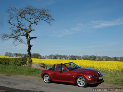 Z3_Roadster_sienarot_001.jpg
