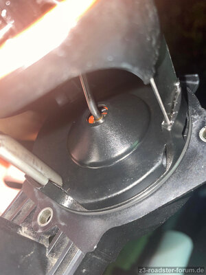 gebrochene Disa Membran.jpg