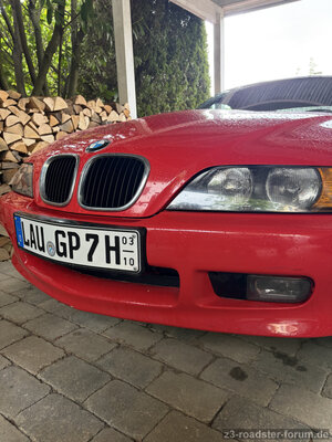 IMG_3556.jpeg