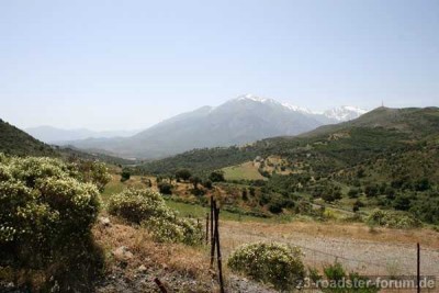 IMG_1096.jpg