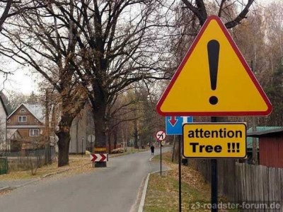 Achtung Baum!.jpg