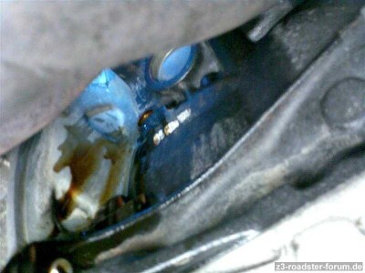 Billede013 (Medium).jpg