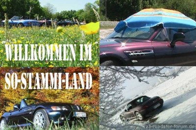Willkommen Z3 Silverdriver.jpg