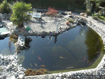 Koiteich Okt  2009.jpg