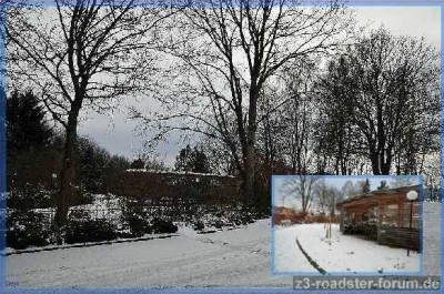 ReinsbergerPark.jpg