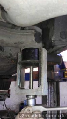 IMAG0064.jpg