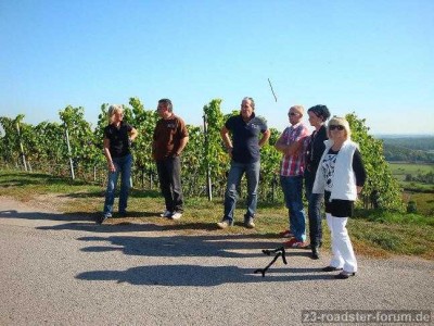 Altweibersommer 2011 Naturpark Stromberg-Heuberg 024.JPG