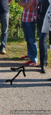 Altweibersommer 2011 Naturpark Stromberg-Heuberg 024.JPG
