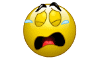schluchz ich darf nicht mitfeieren.gif