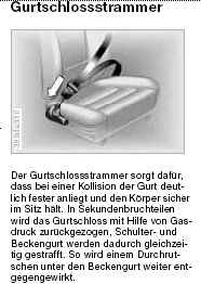 gurtstrammer.jpg