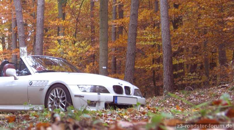 Herbstliche Impressionen
