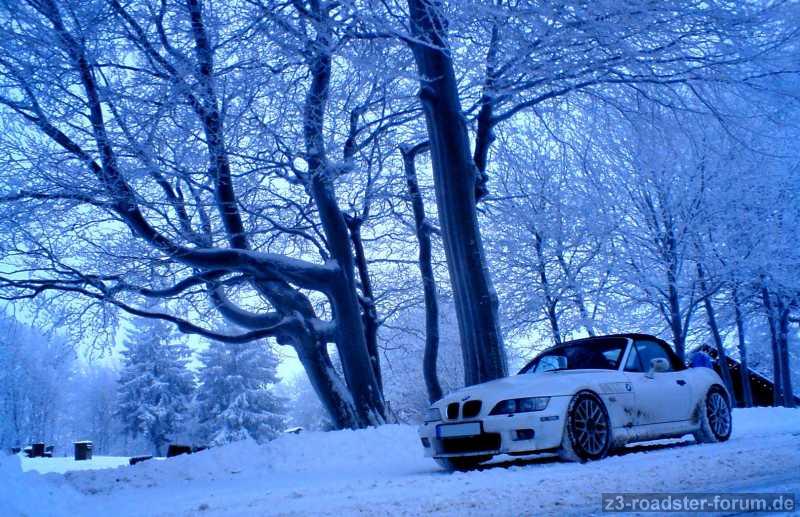 Der Schneekönig in winterlicher Idylle
