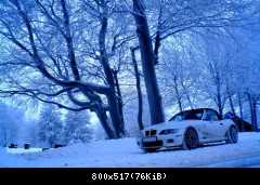 Der Schneekönig in winterlicher Idylle