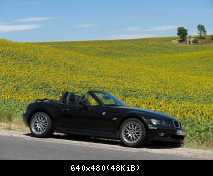 Jetzt im Winter ... träumen von Sonne, offen cruisen