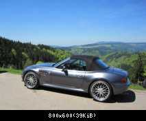 Im Schwarzwald