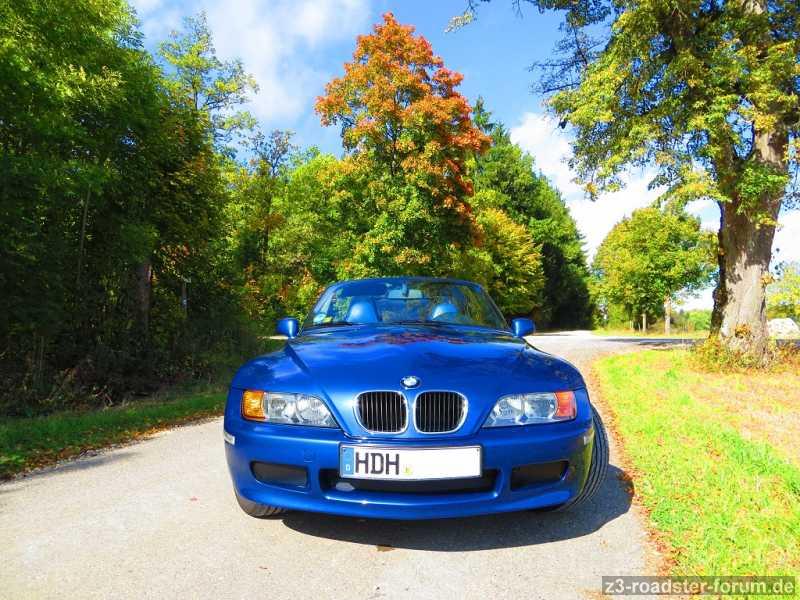 Der Zetti im Herbst