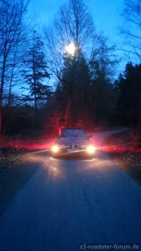 Im Mondlicht..
