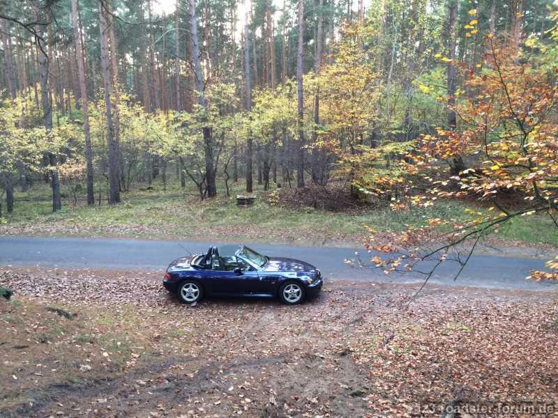 Herbstimpressionen