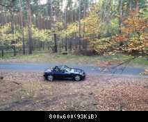Herbstimpressionen