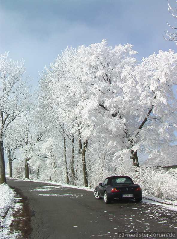 Winterfreude