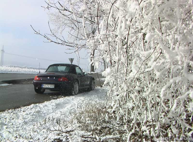 Winterfreude