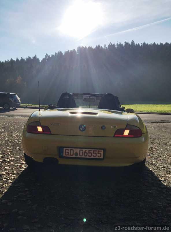 Tweety bei der Probefahrt