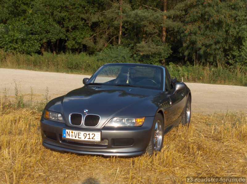 Mein zzz im Kornfeld3