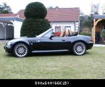 Im Garten