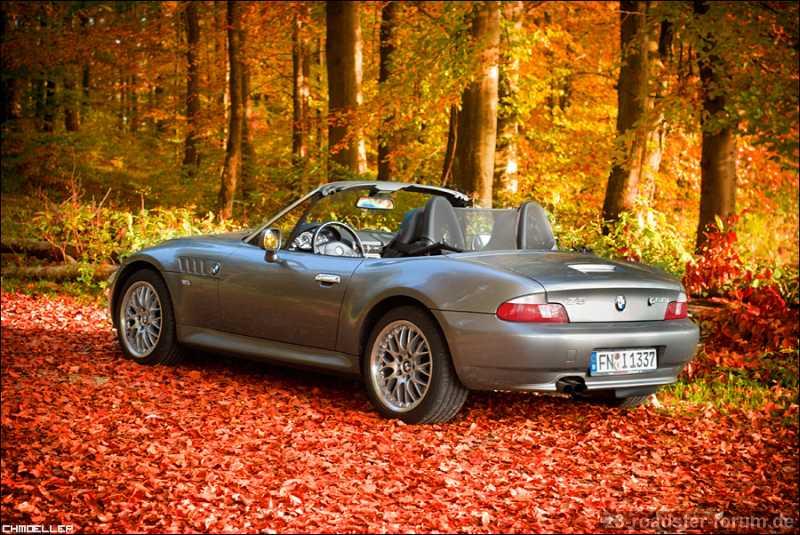 Hm, es scheint Herbst zu sein.