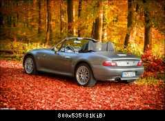 Hm, es scheint Herbst zu sein.