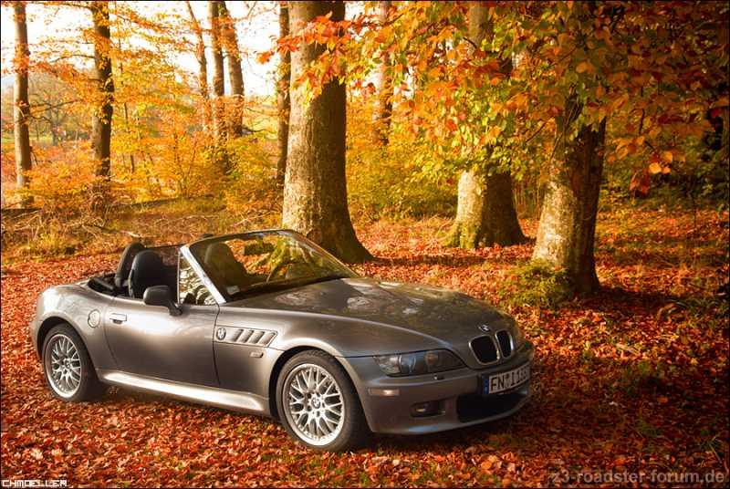 Hm, es scheint Herbst zu sein.