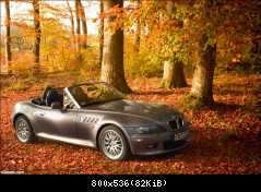 Hm, es scheint Herbst zu sein.