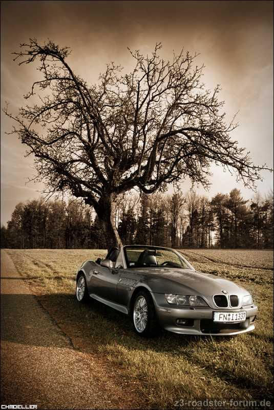 Herbst? Hm, kann sein ....