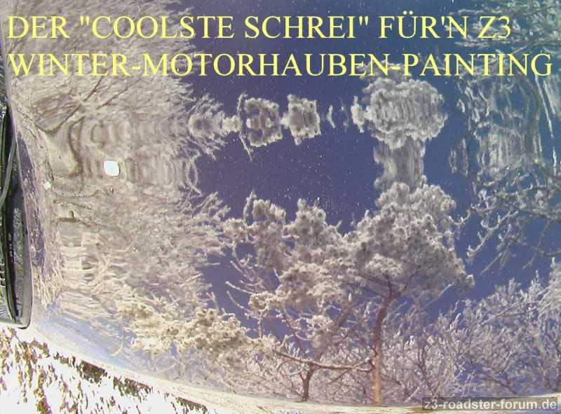 Bio-Motorhaubenpainting
