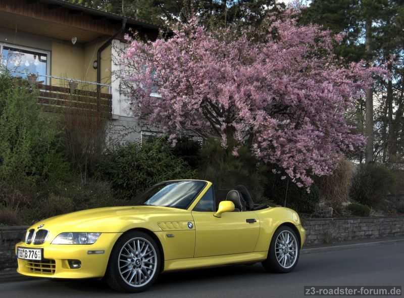 Frühling