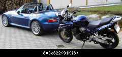 Qual der Wahl ?