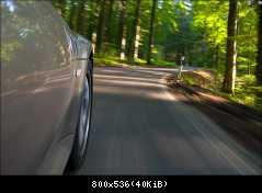 Durch den Wald...