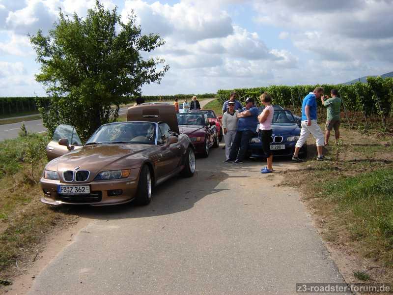 Abschlußtour 2009 in der Pfalz der Zettischisten