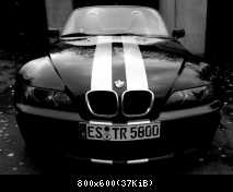 Längsstreifen betonen die Figur