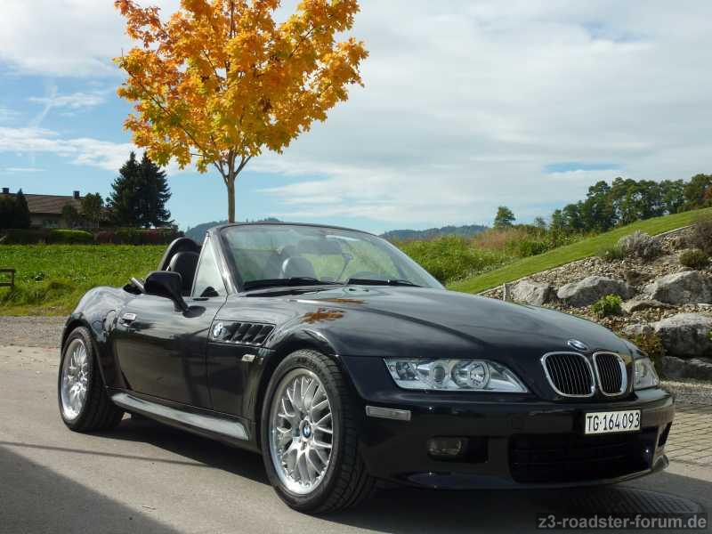 ::: HERBST ::: UND LOS GEHTS :::