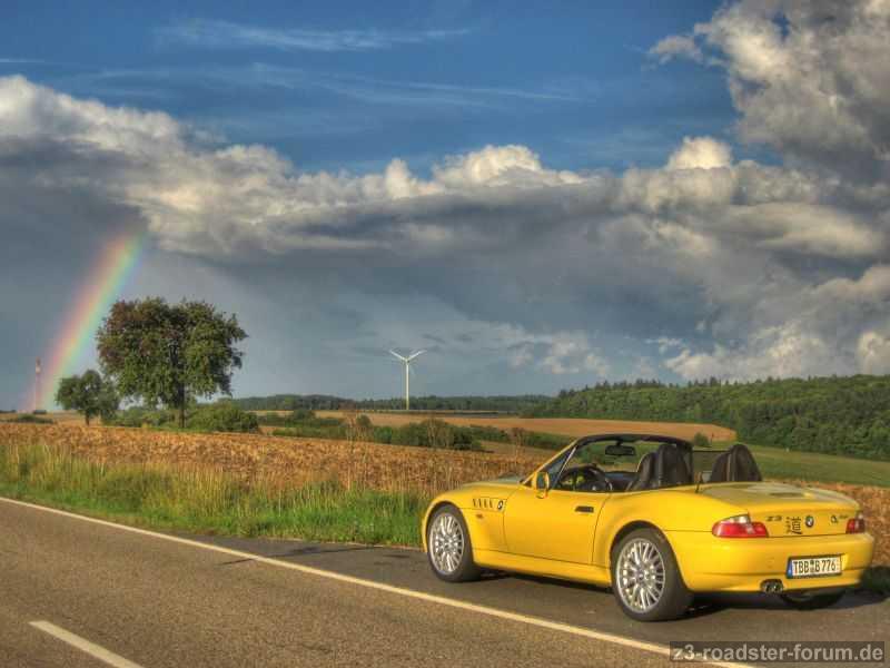 Sommer 2011 (Fotowettbewerb)