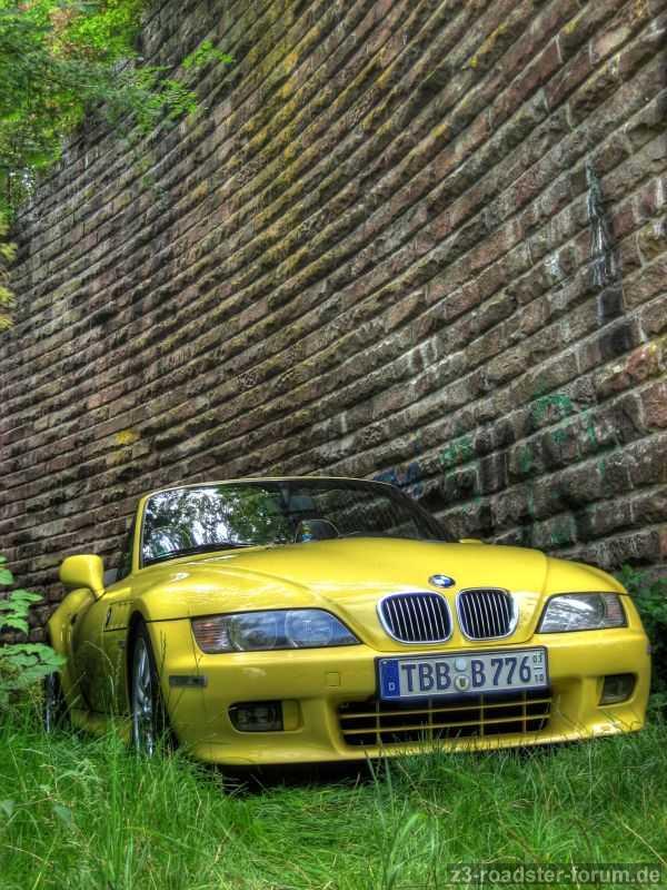 The Wall - Fotowettbewerb
