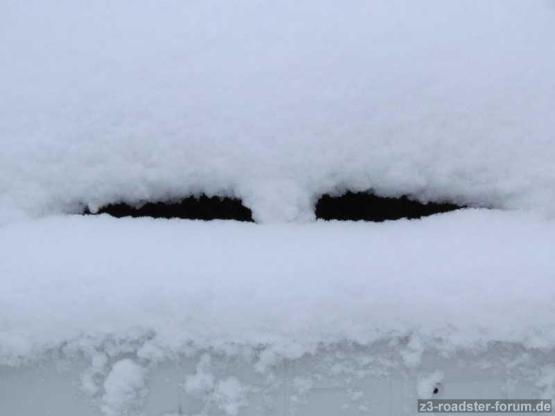 Die Schneeflocke im Schnee