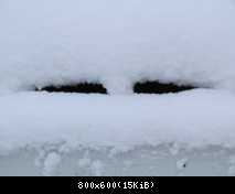 Die Schneeflocke im Schnee